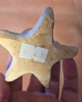 Palla di vetro souvenir Vieste