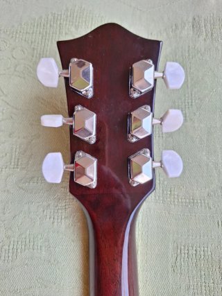 Banjo Samick 6 cuerdas
