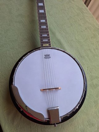 Banjo Samick 6 cuerdas