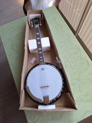 Banjo Samick 6 cuerdas