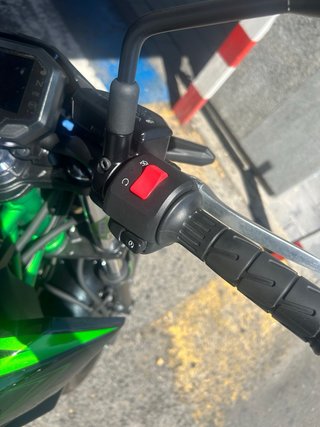 Kawasaki Z650 2025 Negra y Verde Limitada A2