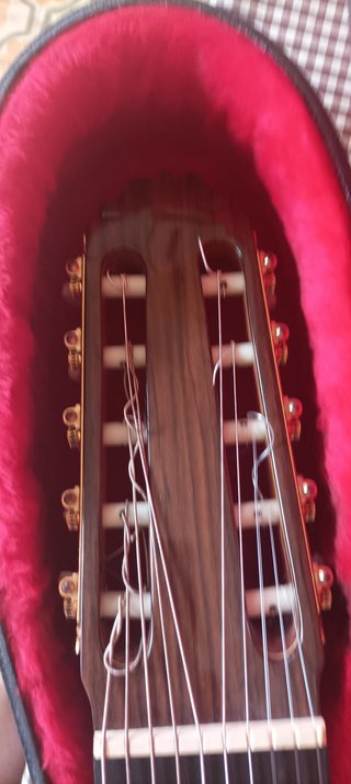 Guitarra Amalio Burguet 10 cuerdas