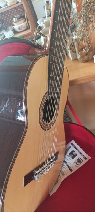 Guitarra Amalio Burguet 10 cuerdas