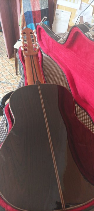 Guitarra Amalio Burguet 10 cuerdas