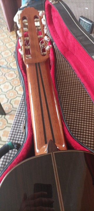 Guitarra Amalio Burguet 10 cuerdas