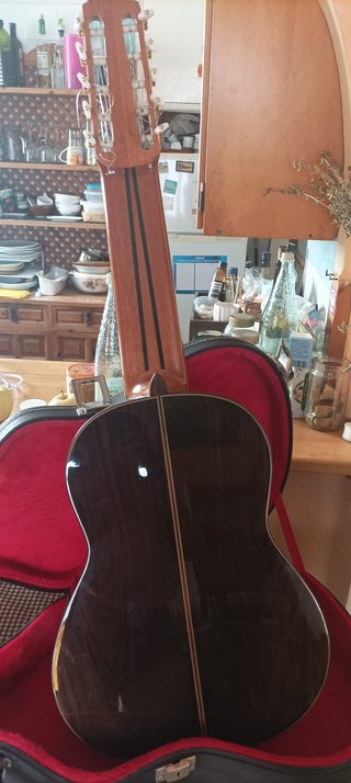 Guitarra Amalio Burguet 10 cuerdas
