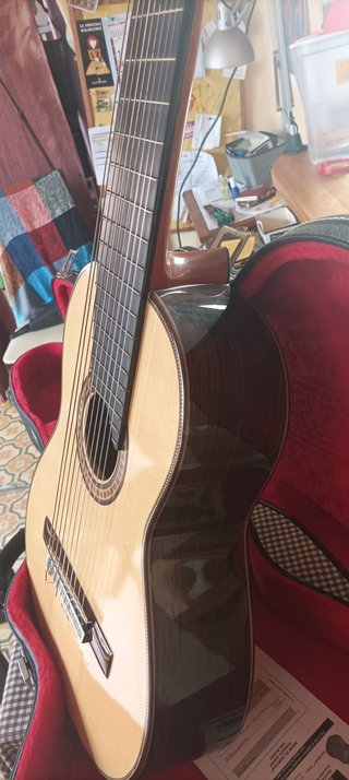 Guitarra Amalio Burguet 10 cuerdas