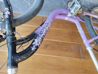 Bicicleta Puky Llanta 24