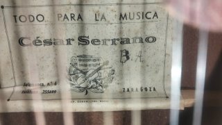 Bandurria César Serrano