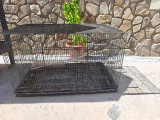 2 Voladeras para pájaros