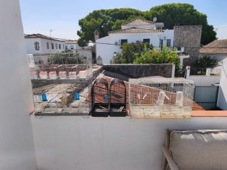 2 Voladeras para pájaros