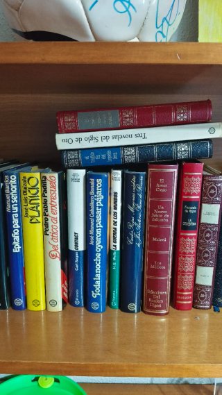 28 libros antiguos