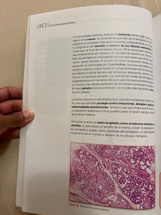 Libro Citología Ginecológica FP Anatomía NUEVO