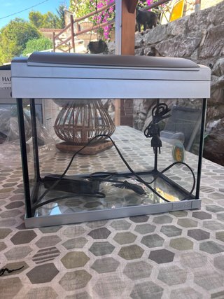Acuario para peces