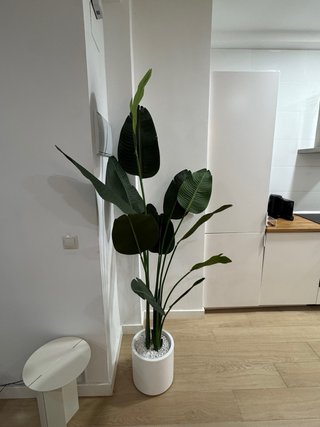 Planta Artificial Verde 180 cm