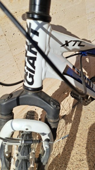 Bici Giant XTC Jr 20 7v Shimano