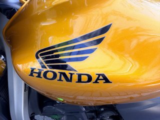 Honda CB600F Hornet Dorada