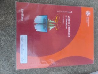 Lengua castellana y literatura 1 Bachillerato