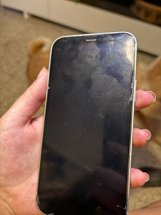 iPhone 12 Menta