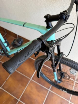 Orbea Alma H30