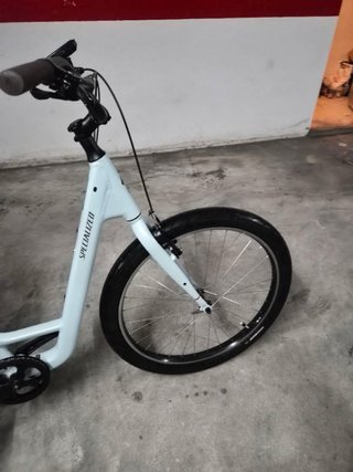 Specialized Roll 2021