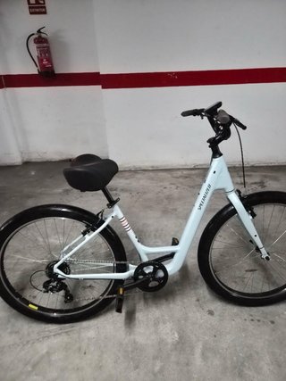 Specialized Roll 2021