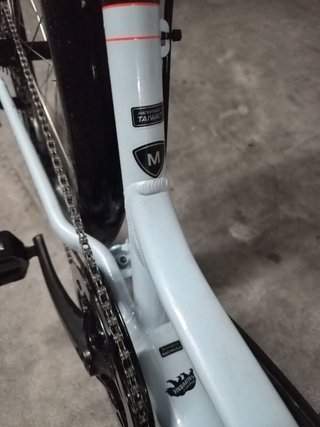 Specialized Roll 2021