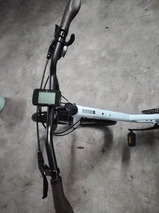 Specialized Roll 2021