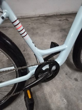 Specialized Roll 2021