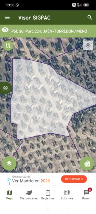 Terreno de olivar 4582 m²