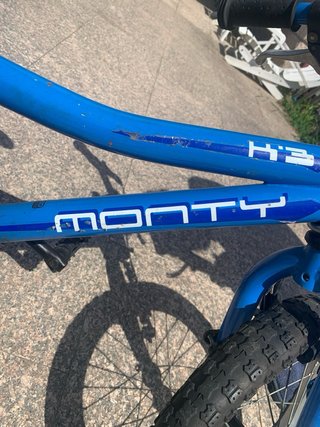 Bicicleta Infantil Monty 16”+ Trail Gator
