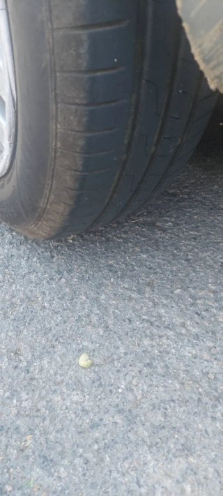 Citroen C3 2004
