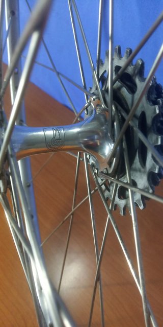 Ruedas Mavic + Campagnolo 700c Bicicleta carretera