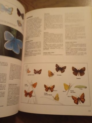 Libro fascinante naturaleza