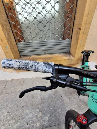 Bicicleta WST personalizada