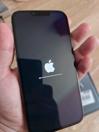 iPhone 13 Pro Max Argento
