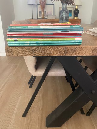 Lote libros GSD 6 Primaria Anaya y Person (inglés)