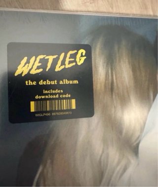Disco de vinilo Wet Leg