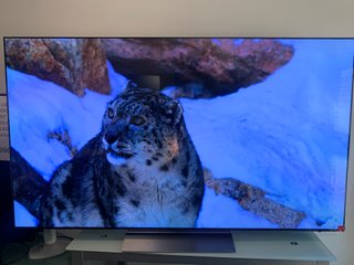 LG OLED65C54LA TV Ocasión