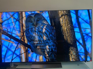 LG OLED65C54LA TV Ocasión