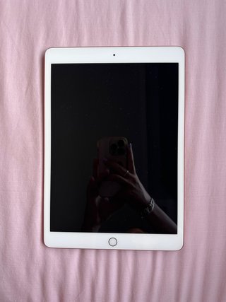 Apple iPad Rosa