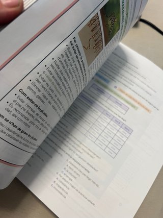 Llengua Catalana i Literatura. 1 Secundaria. Re...