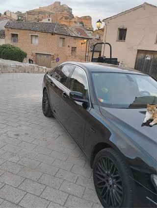 BMW 2007