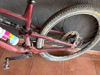 Megamo Vitae 2025
