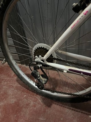 Bicicleta niña