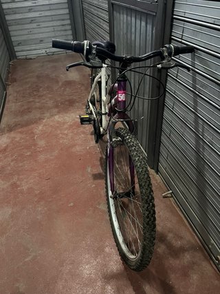 Bicicleta niña