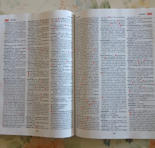 Dizionario latino
