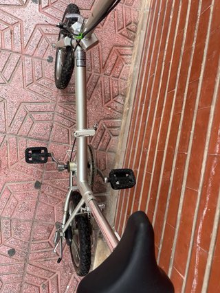 Bicicleta plegable plateada