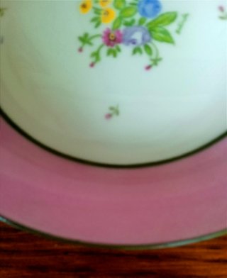 PLATO PORCELANA "PINTADO A MANO": LIMOGES FRANCIA