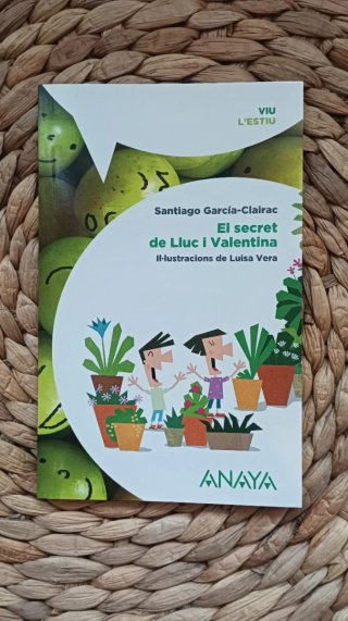 Vacaciones, 3 Primaria Viu l'estiu